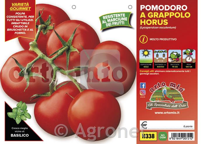 Paradižnik okrogli grappolo Horus F1, 6 kos