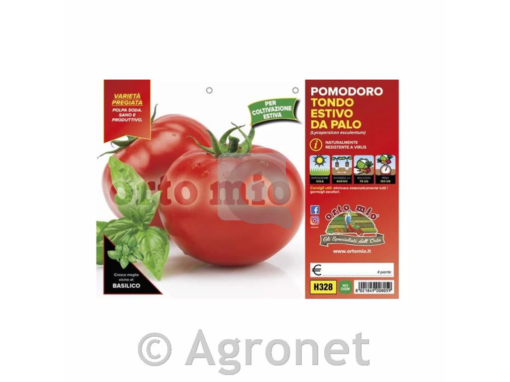 Paradižnik okrogli solatni Tindaro F1, 6 kos