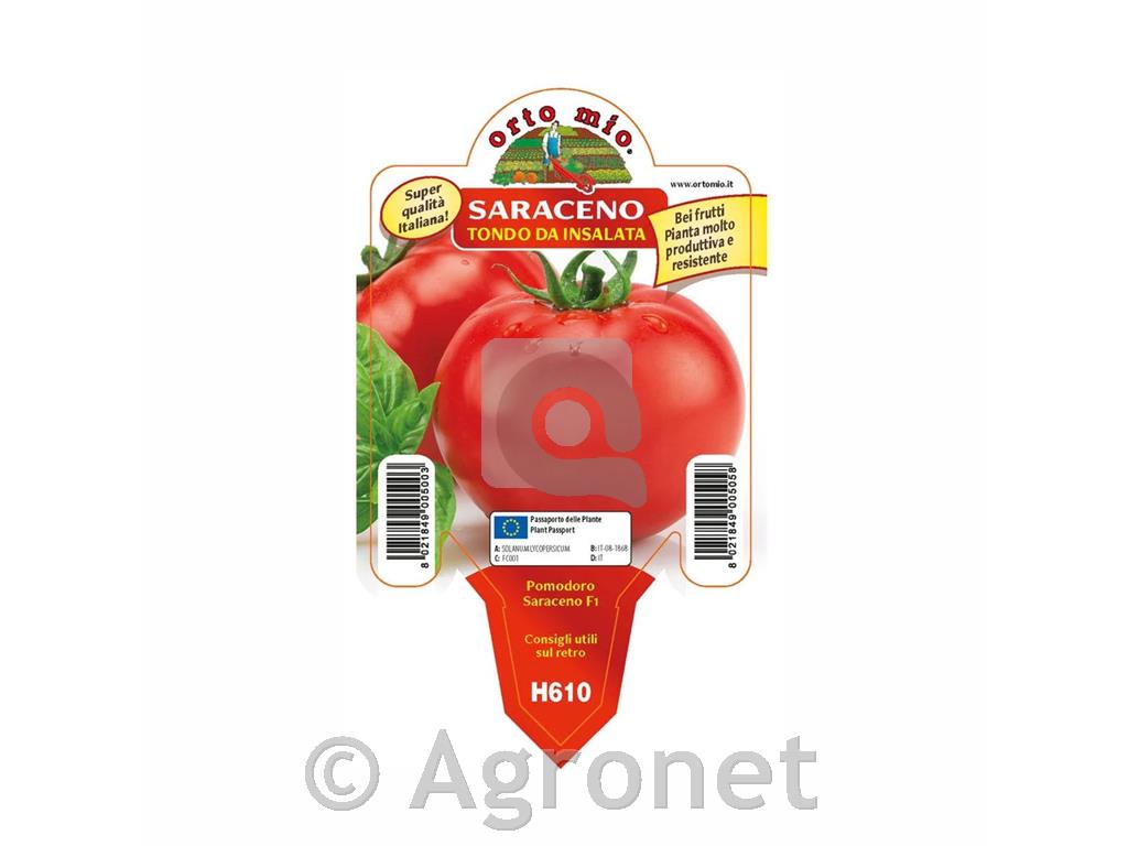 Paradižnik okrogli solatni Saraceno F1