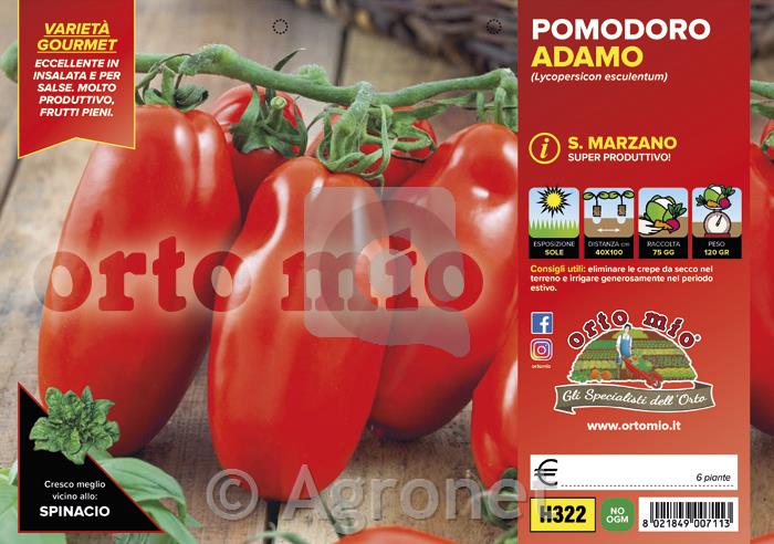 Paradižnik S. Marzano Adamo F1, 6 kos