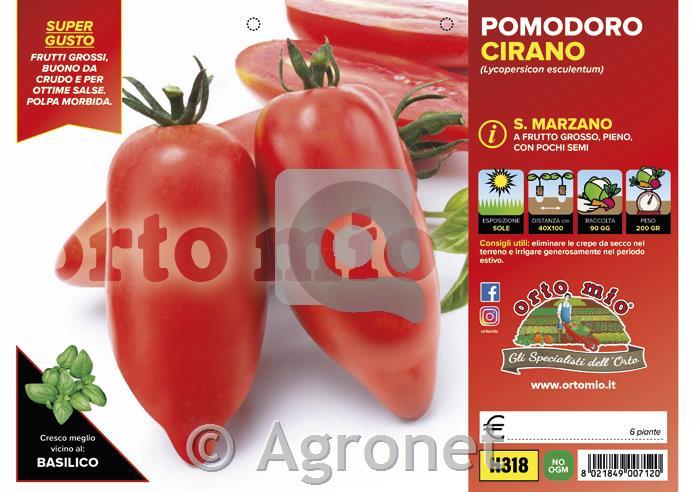 Paradižnik S. Marzano Cirano F1, 6 kos