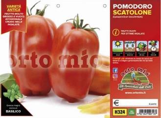 Paradižnik S. Marzano votli Scatolone, 6 kos