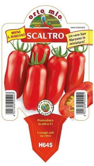 Paradižnik pelat Babyzano F1, 1 kos