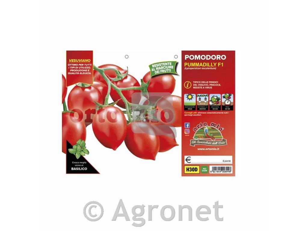 Paradižnik češnjev Pummadilly F1, 6 kos