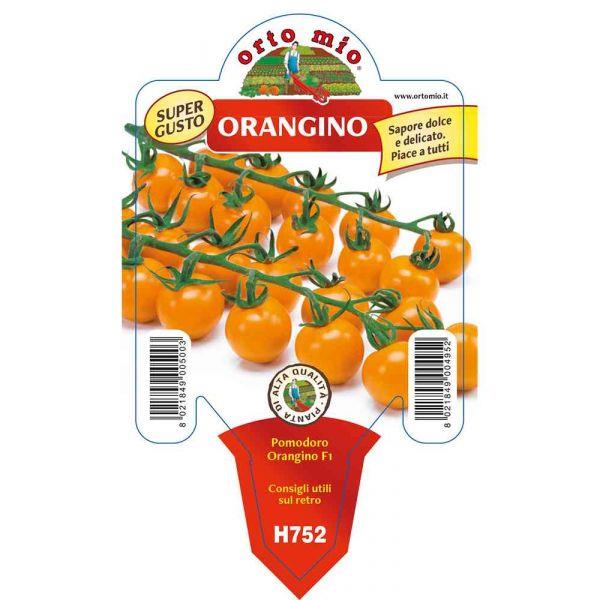 Paradižnik oranžni češnjev Orangino F1, 1 kos