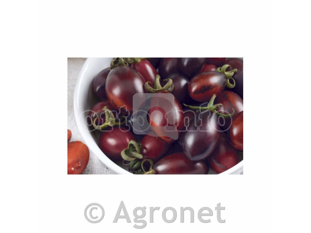 Paradižnik modri Candy F1, 6 kos