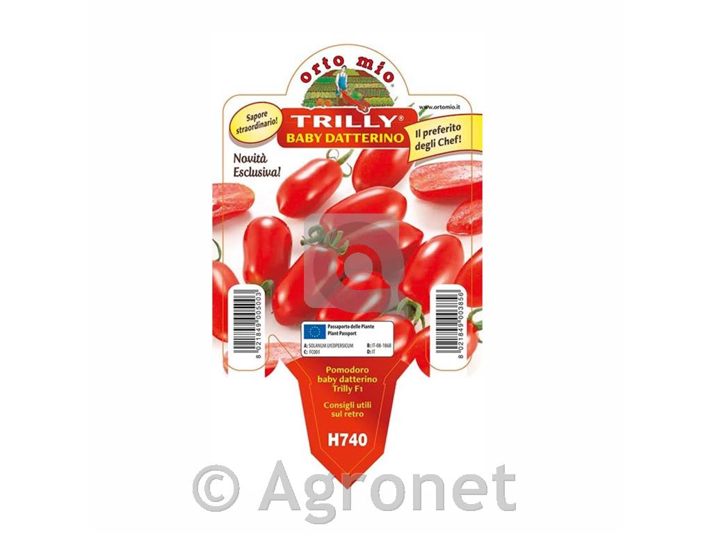 Paradižnik ovalni Trilly F1