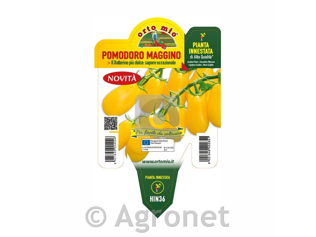 Paradižnik rumeni datljev Lemonplum F1