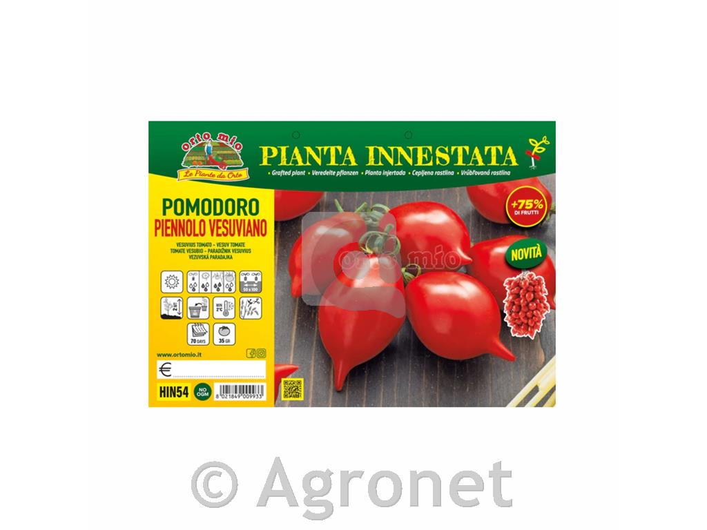 Paradižnik Piennolo Vesuviano F1