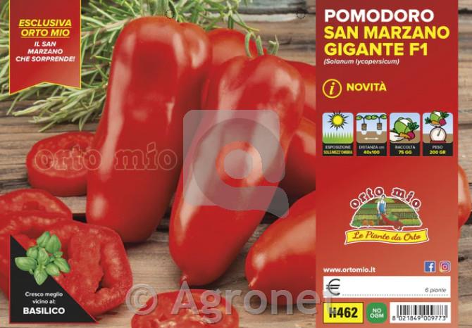 Paradižnik Giant San Marzano Grison, F1, 6 kos