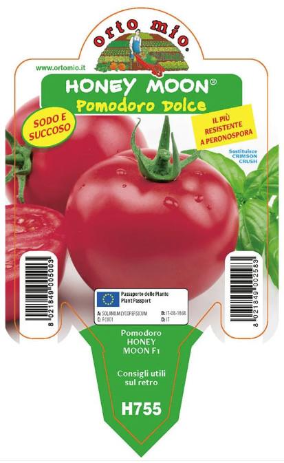 Paradižnik Honey Moon F1, 1 kos
