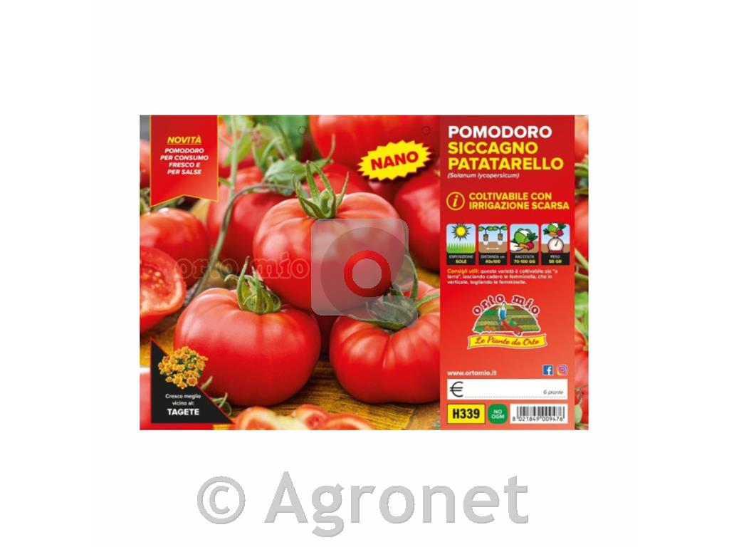 Paradižnik mini Patatarello F1, 6 kos