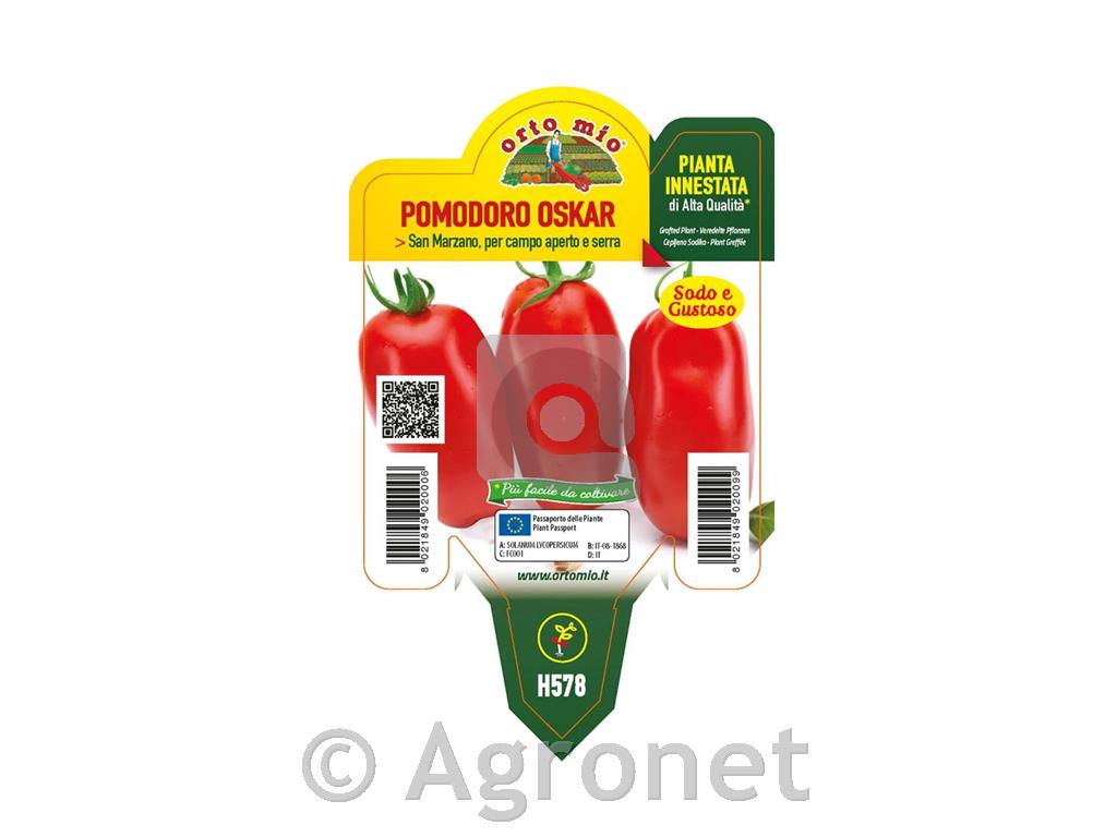 PARADIŽNIK S. MARZ.CEPLJEN OSKAR F1