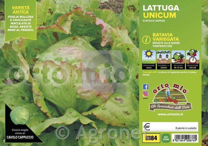Solata glavnata Unicum, 9 kos
