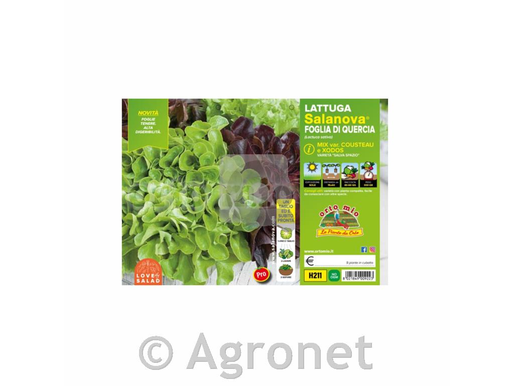 Solata hrastov list mix Cousteau in Xandra, 9 kos