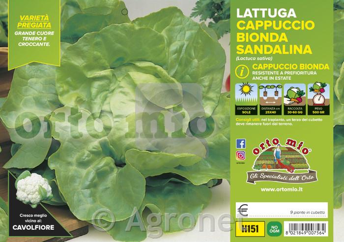 Solata Sandalina, 9 kos