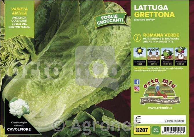 Solata Escale, 9 kos