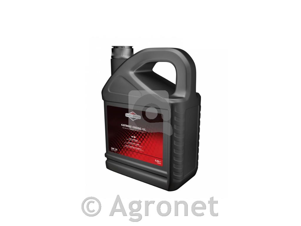 Motorno olje Briggs&Stratton SAE 30 (5 l)