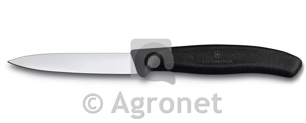 Nož 8 cm 6.7603 VICTORINOX