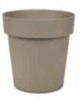 Lonec melrose 50cm, mocca