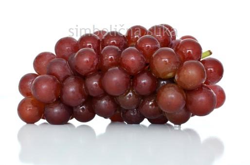 Irsai Oliver, aromatična bela sorta z izrazitim okusom