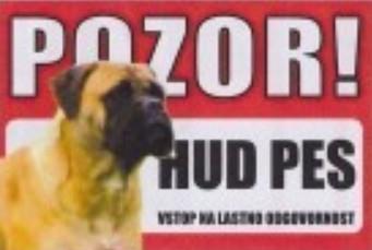 Opozorilna tabla Pozor hud pes Bulmastif