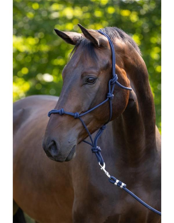 Oglavnik z vozlom rjav Pony
