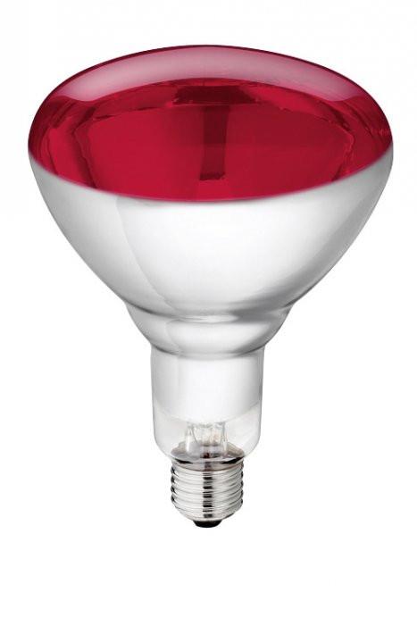 Žarnica IR kaljeno steklo - 250W Philips
