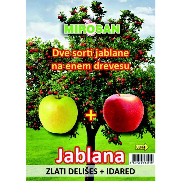 Jablana 2 sorti (Idared in Zlati Delišes)