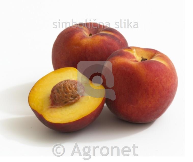 Pritljikava breskev Bonaza