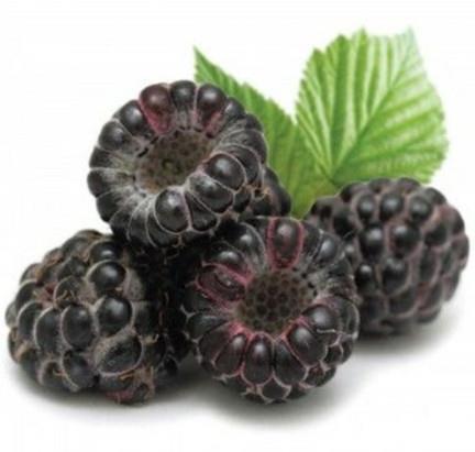 Malina Black Jewel
