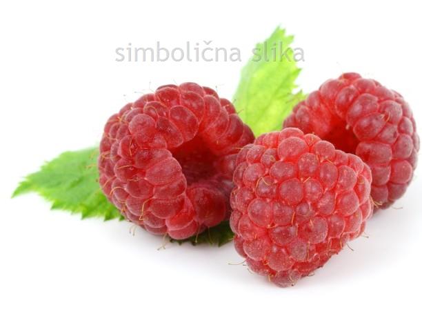 Rdeča malina Bon Bon Berry Yummy - kompaktna