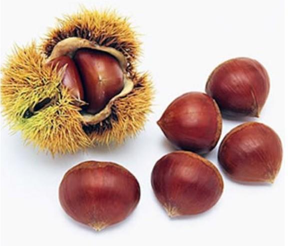 Kostanj Bouche de betizac