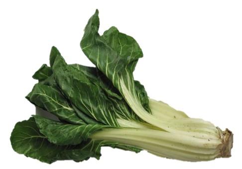 Blitva stebelna Corolla, 6 kos