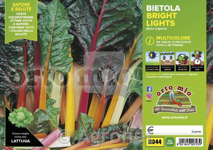 Blitva Bright Light, 6 kos
