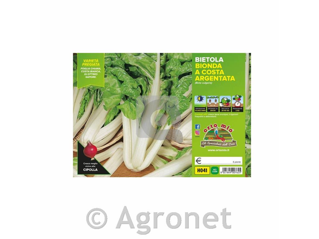 Listna blitva Bionda Argentata F1