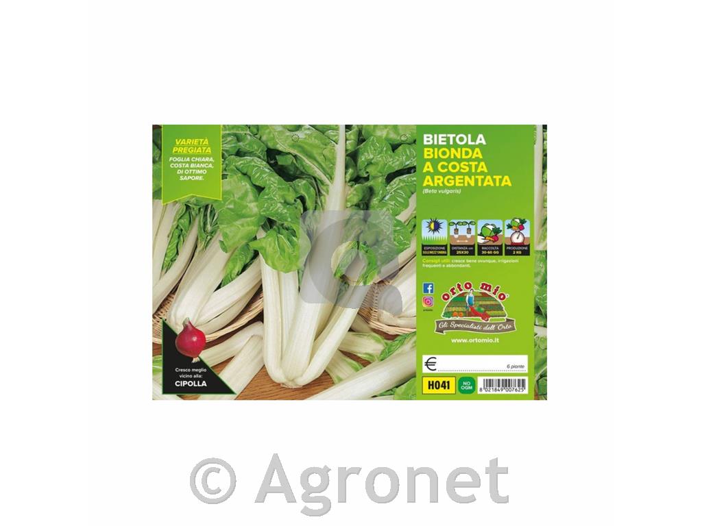 Blitva Lusiana, 1 kos