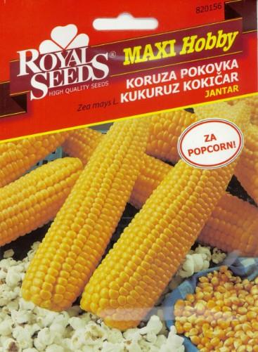 Koruza pokovka JANTAR - popcorn