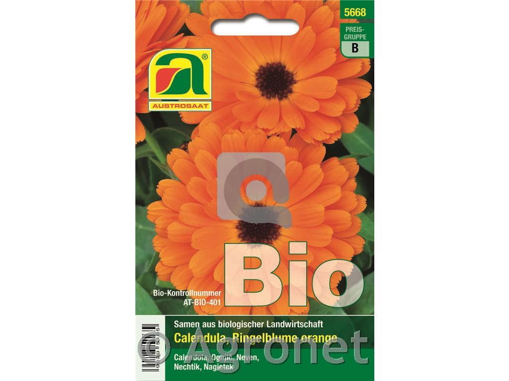 Ognjič EKO