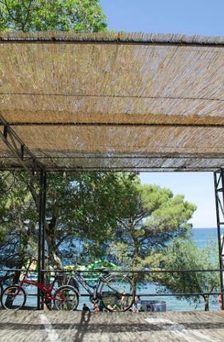 Ograja iz trstike 1.2 x 3 m