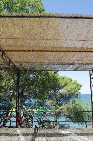 Ograja iz trstike 1.5 x 3 m