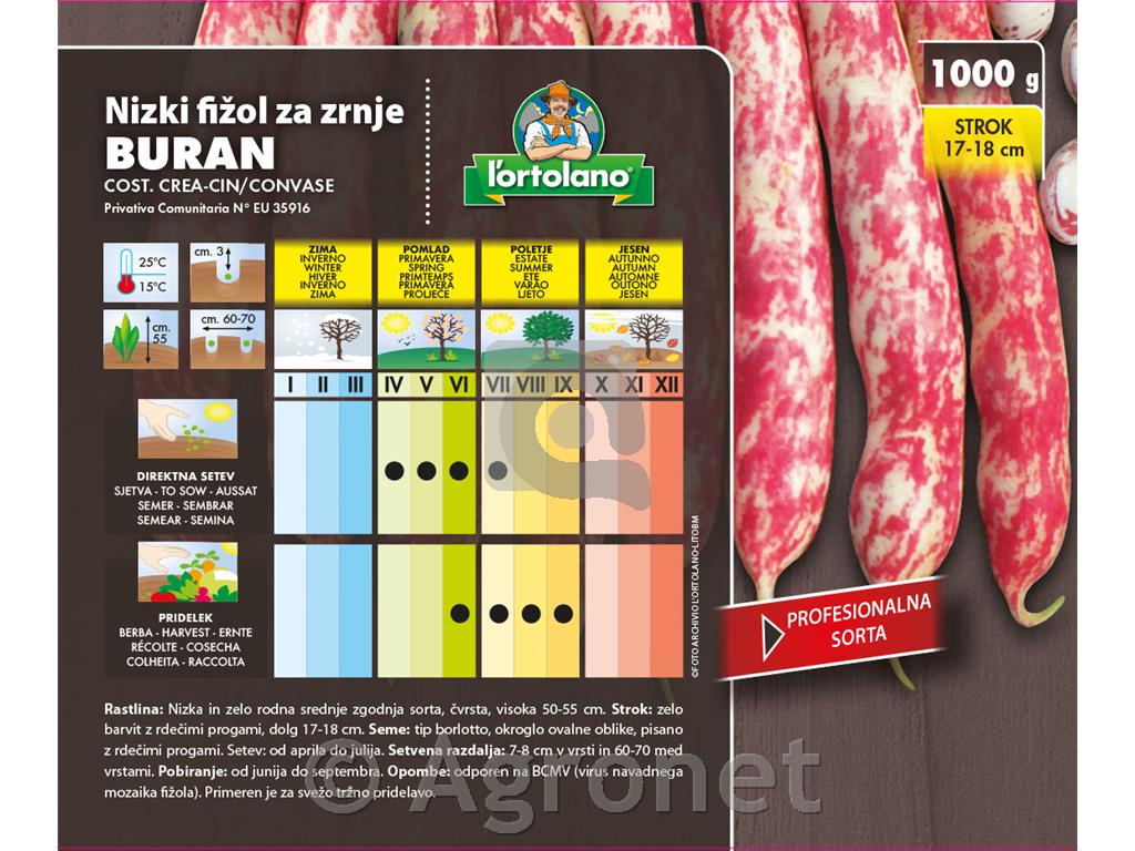 Nizki fižol za zrnje Buran 1kg