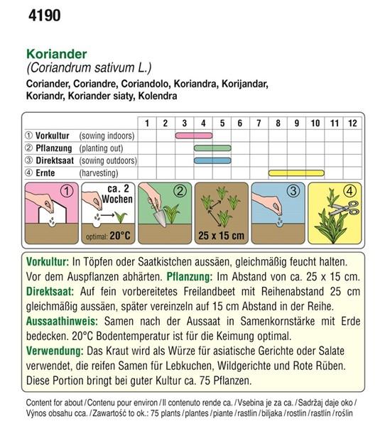 Koriander