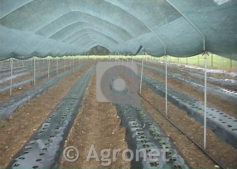Mreža za senco 1,56 m (30%)
