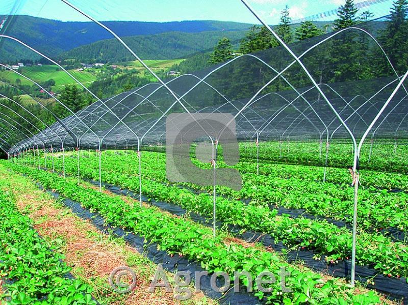 Mreža proti toči, 1,5m