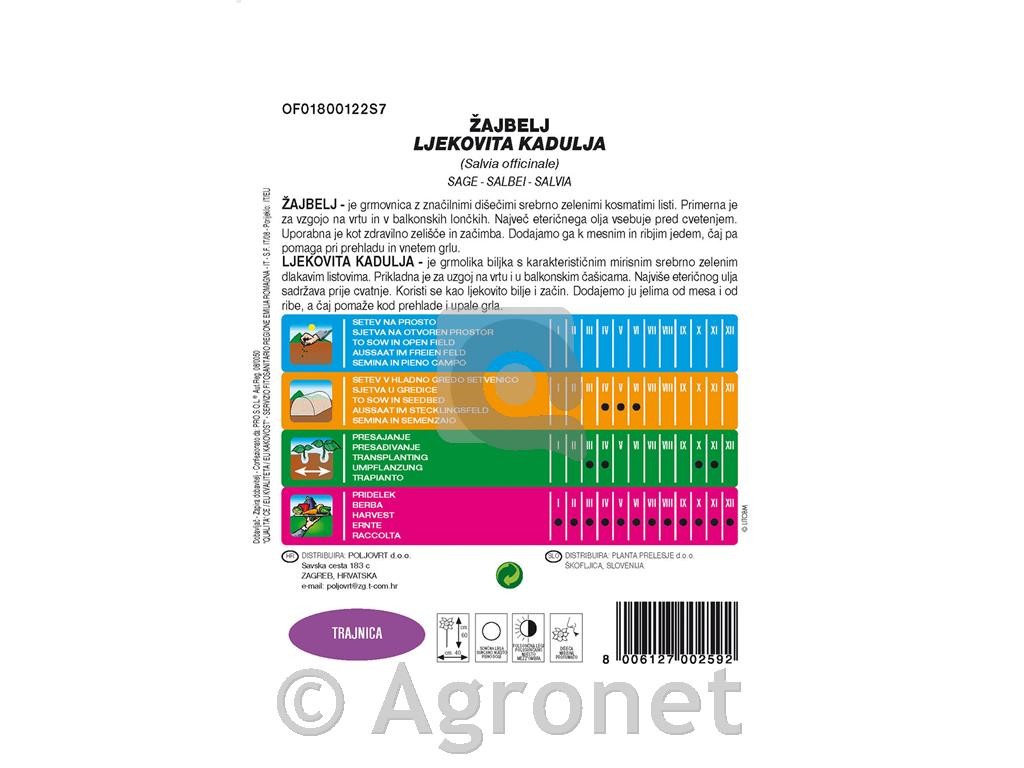 Žajbelj (Salvia officinale), 1 g