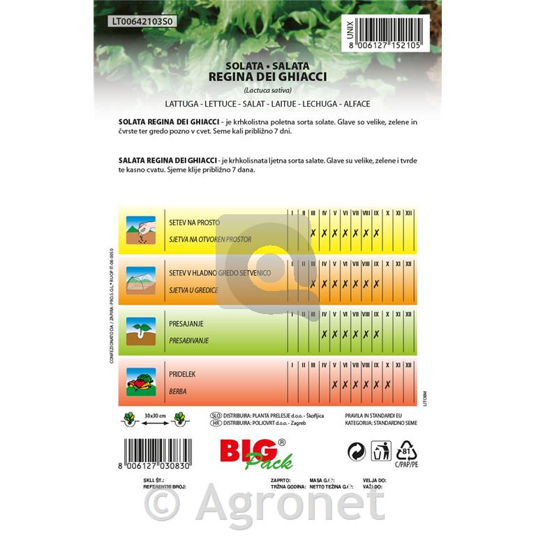Solata Regina dei ghiacci 20g