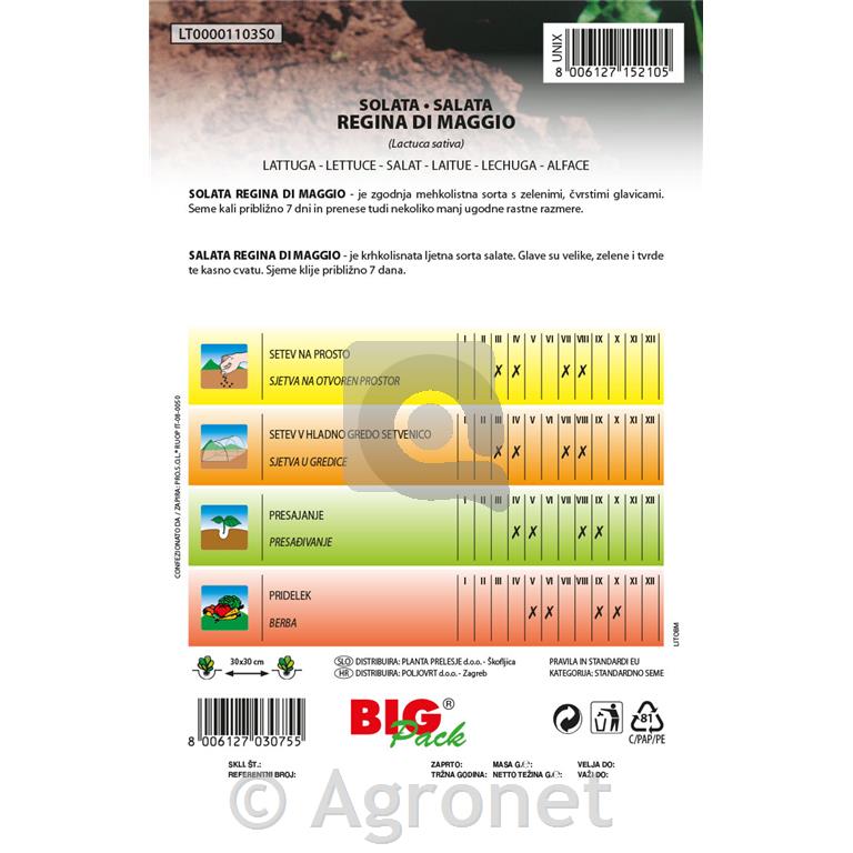 Solata Majska kraljica 20g