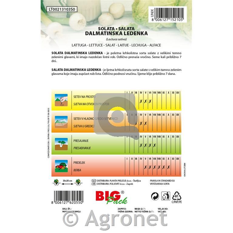 Solata Dalmatinska ledenka 15g