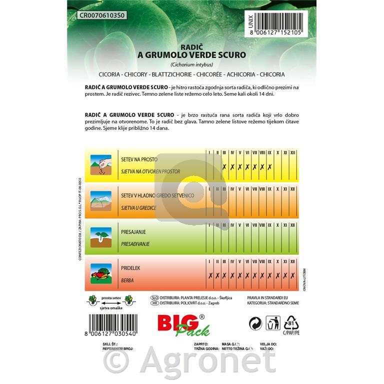 Radič A Grumolo Verde 20g